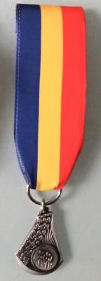 MEDAILLE ruban épingle veston 4 cm bleu/jaune/rouge