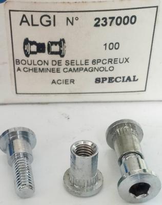 1 SEAT POST BOLT - 1 boulon de selle 6 pans creux type CAMPAGNOLO