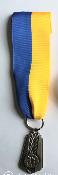 MEDAILLE ruban épingle veston 4 cm jaune/bleu