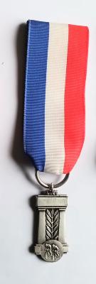 MEDAILLE ruban épingle veston 4 cm bleu/blanc/rouge