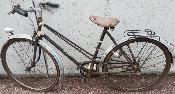 GRIFFON PARIS - Vélo dame