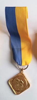 MEDAILLE ruban épingle veston 4 cm jaune/bleu