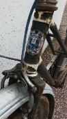 GRIFFON PARIS - Vélo dame