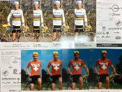 Lot de 10 Cartes Postales - ALBERT SWEIFEL